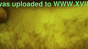 amateur couple enjoys soft sex with creampie