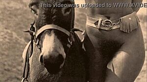 Vau! Dark Lantern razkriva retro Lepotico in Zver