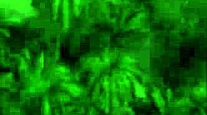 caught a big fish in treasure of nadia