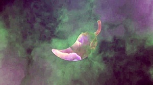 Acordei e toquei siririca cheia de tesão meu enteado viu e ajudou a dedilhar meu clitóris veja no que deu xv red