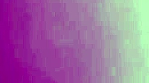 exploring the black woman's hairy pussy