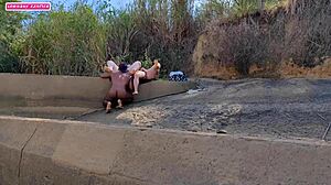 we got surprised by a naked guy in the forest wanting to bang