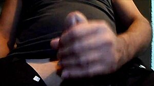 rempic horny cat compilation