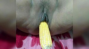 रूसी 18+ लडकी बोल्डली स्ट्रिप करती है