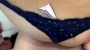 トラニー・クロエ・スター1がアマチュア集めで輝く