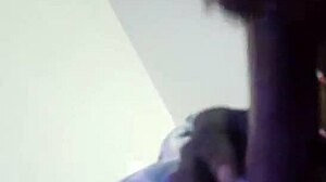 tranny gives okay head