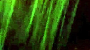 Interracial Blowjob Session Recorded