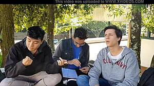 Madera Petter Wood Garcia Teixeira Ribeiro Portugues Gabriel Pedro Guilherme Daniel Group Action