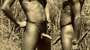 Nella mia vita segreta, bisessuali vintage si strofinano i glandi appassionatamente