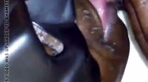 ultimate clit licking brings intense pleasure and orgasm