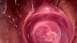 मिया की क्रीमी चूत इंटरनल कैमरा से वाइड स्प्रेड।