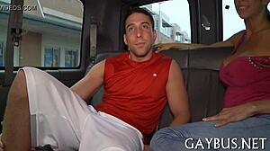 Bear Enjoys Homosexual Companionship in Nature