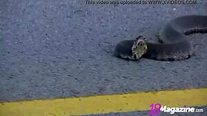 Meggan Powers дразнит соло игрой в душе