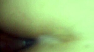 Fucking Sister's Ass While Parents Are Away