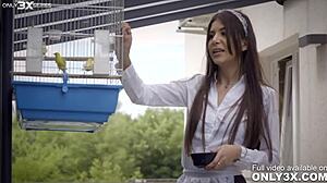 only3x episode 12, whores love it roughh