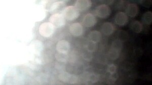 Blow job for valentines day