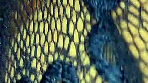 Babe Matang Terima Keras Dalam Aksi Anal!