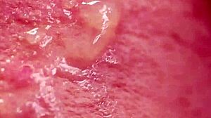 flirty hottie gulps sperm shot on her face