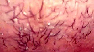 Wife moaning loudly during anal and cumming 😩