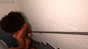 Getting To Know Ted's Mansion Better In Brazil