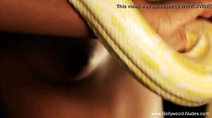 Beautiful Indian Dance To Arouse Audience