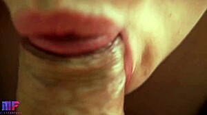 gentle sensual blowjob close-up with pov couple sucking cock