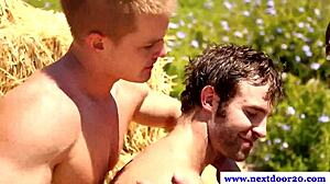 Muscular Jocks Exercise Outdoors In Group