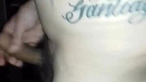 V�deo de verificaci�n