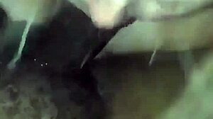 kay phoenix enjoys homemade anal sex with wet blowjob and cock in her ass