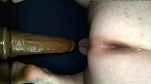 guy bends over for dildo doggy style fucking
