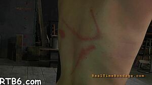 pornstar sadomasochism rough blowjob session