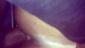 Big Booty With Tits And Ass