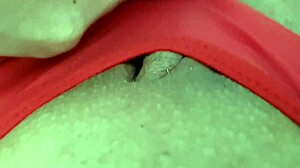 that latina's big ass and tits with monster cock 😍