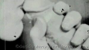 postcards from my step mother