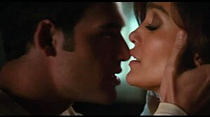 letmeloveyou w urzekającym świetle reflektorów celebrytów