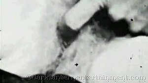 postcards from my step mother