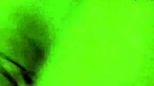 exploring a collection of amateur videos in high definition