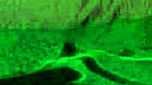 I fucked my ex like it was his last time