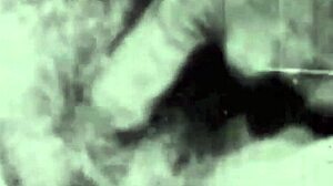 postcards from my step mother