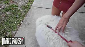 Jeanie Marie Sulivan knepper fremmed og tager hans fulde load på ansigtet - mofos