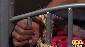 Cfnm lady teases big black cock guy before sucking him off. She takes control in classy style.