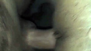 gozando na safada com hardcore sex 😈