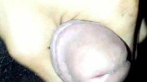 Somebody Moma Sucks Big Black Cock Hard