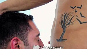 Cute guy joins roommates for gay threesome