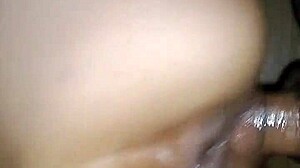 Couple Performs Blowjob And Doggy Style