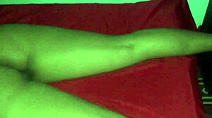 latina bent over doggystyle fucking wet pussy on phone