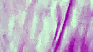 Vivi Guedez Black Blowjob Facial Sex