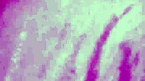 Vivi Guedez Black Blowjob Facial Sex