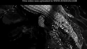 Lana del rey - blue jeans