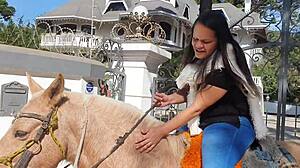 minha primeira experiencia com cavalo nao aguentei e fiz isso